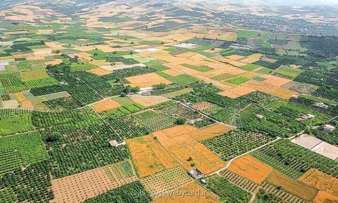 حدنگاری اراضی کشاورزی نیازمند هم افزایی همه نهادهای متولی است