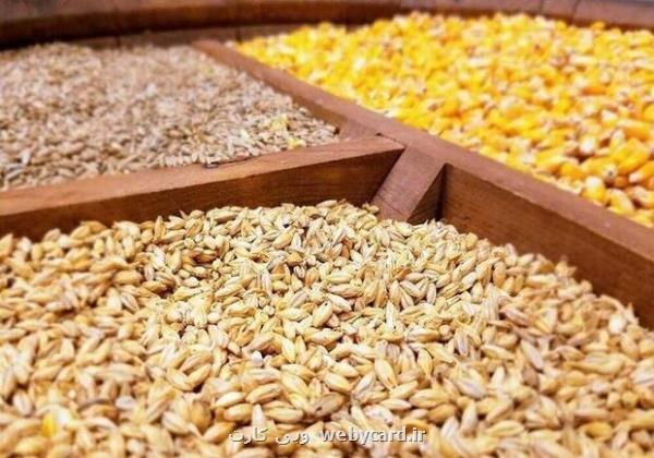 بحران نهاده های دامی و سکوت دولت در مقابل انحصارگران