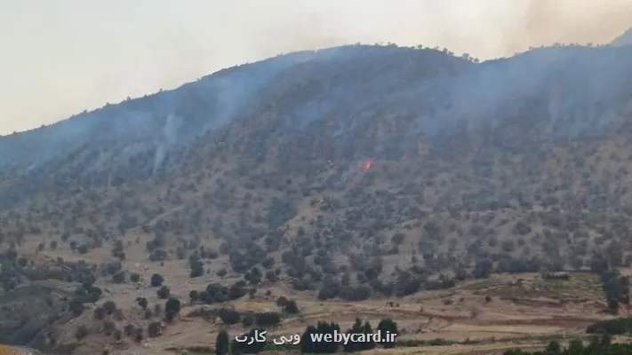 دستور ویژه برای اطفای حریق در چالوس