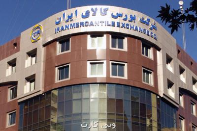 داستان بورس نشینی برنج