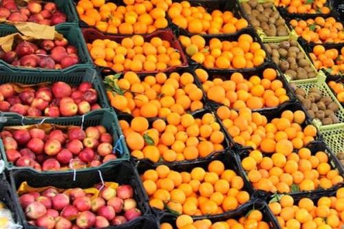 تخلف تعاون روستایی در ذخیره میوه شب عید