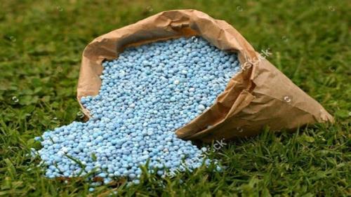 دولت ۷۰ درصد قیمت کودهای یارانه ای را با پرداخت می کند
