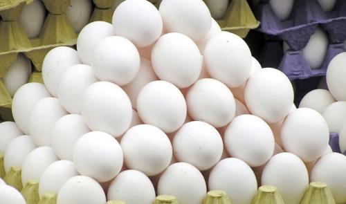 نرخ هر کیلو تخم مرغ 47 300 تومان