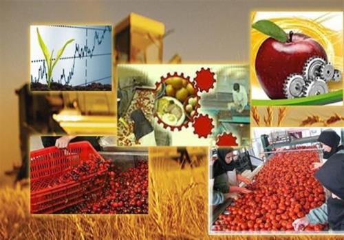 ۳۵۰ همت پروژه صنایع تبدیلی در حال اجراست