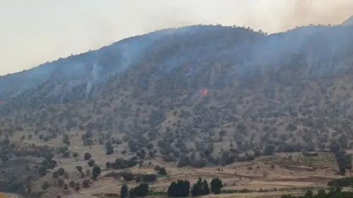 دستور ویژه برای اطفای حریق در چالوس