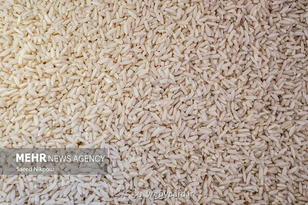واردات برنج تسهیل شد اما نقدینگی وجود ندارد