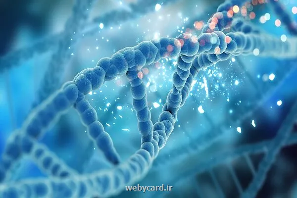 ساخت کامپیوتری مبتنی بر DNA محاسبات بدون احتیاج به برق مداوم