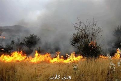 مردم با حضورمسئولانه در طبیعت ازایجاد حریق در جنگلها جلوگیری نمایند