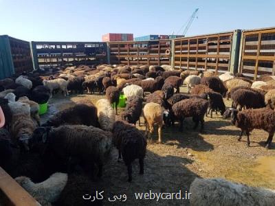 شركت پشتیبانی امور دام كشور از پرداخت مالیات معاف می شود؟