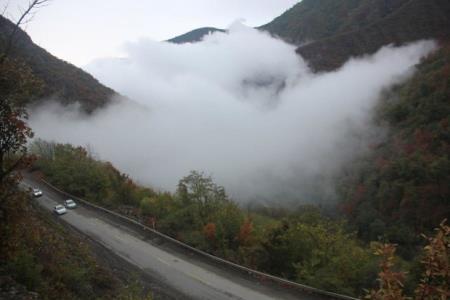 باران به داد جنگل توسكستان رسید