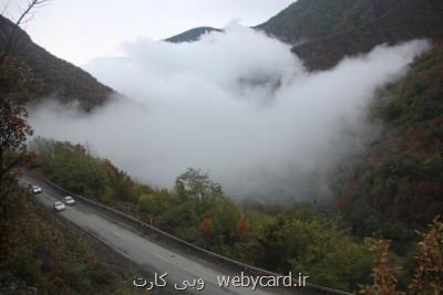 باران به داد جنگل توسكستان رسید